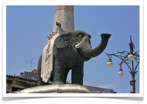 catania elephant
